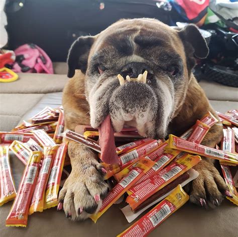 Tell us the story of how you met your furry best friend and help other pet lovers discover the joys of pet adoption! Bubbly Paws - Home | Facebook