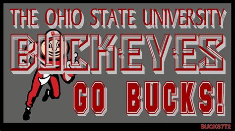 The Ohio State University Go Bucks Ohio State Buckeyes Wallpaper