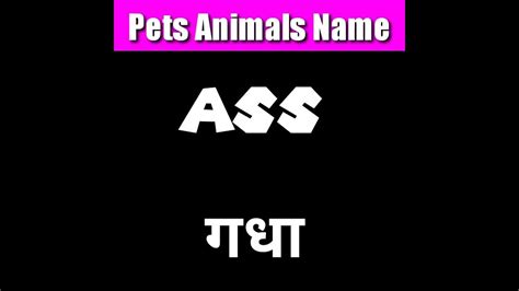 ass meaning in hindi shorts youtube
