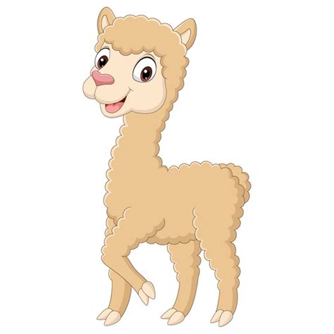 Ilustración De Dibujos Animados Lindo Pequeño Alpaca Vector Premium