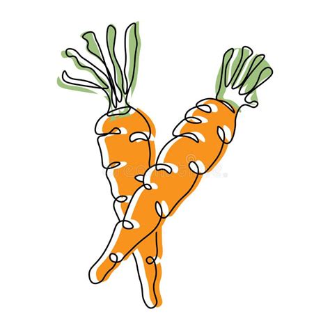 Vegetable Illustration Line Art Carrots Black Line With The Addition