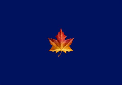 🍁 Maple Leaf Emoji Meaning