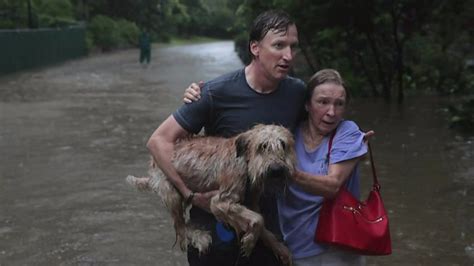 Houston Floods Harvey Rains To Worsen Texas Citys Plight Bbc News
