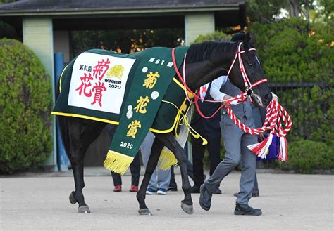 Horse Racing Contrail Wins Kikuka Sho Joins Father Deep Impact As