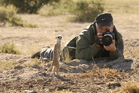 Into the Wild: tips for mastering the art of wildlife photography 