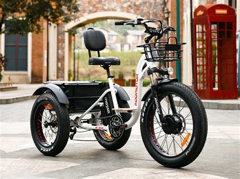 M 340 Electric Fat Trike【offer Is Valid Until February 5】 Electric Trike Electric Bike