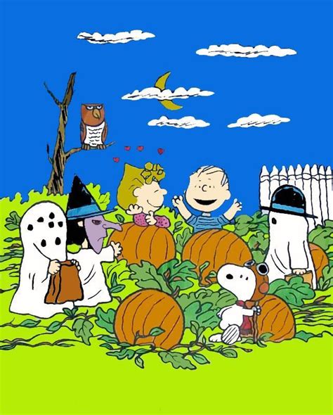 Peanuts Gang Halloween Flag Rare Charlie Brown