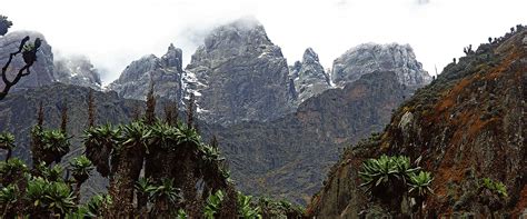 Mount Kenya National Park Kenya Mountain Hiking Safari