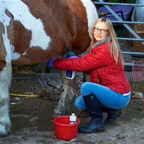How Do You Clean A Horses Sheath Diy Seattle