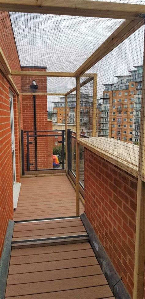 Cat Proof Balconies Cat Fence And Catio Specialists Sanctuary Sos