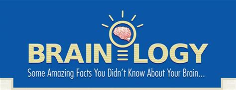 15 Things You Probably Didnt Know About Your Brain