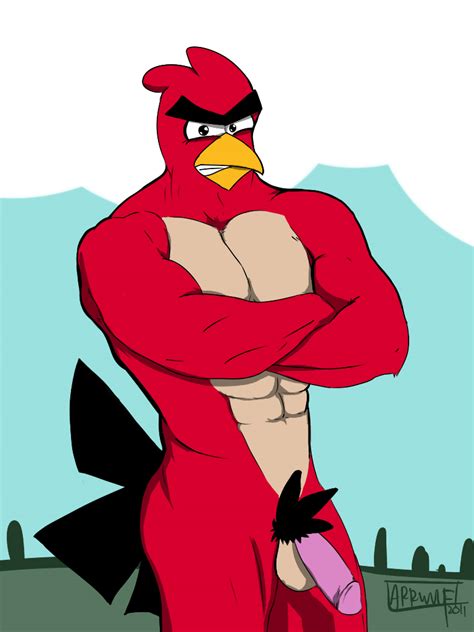 Rule Boy Angry Birds Avian Balls Bird Looking At Viewer Male Male