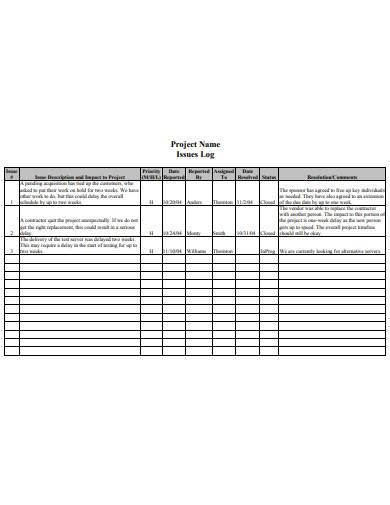 Free 10 Issues Log Samples In Pdf Doc