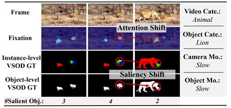 Object Detection Ai