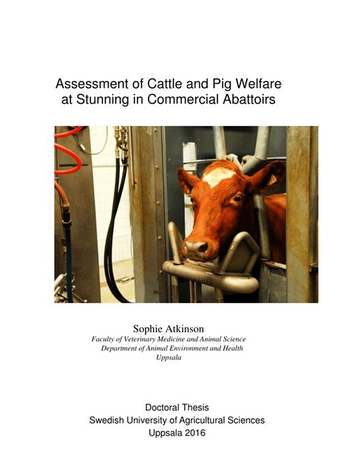 Pdf Assessment Of Stun Quality At Commercial Slaughter In Cattle Shot