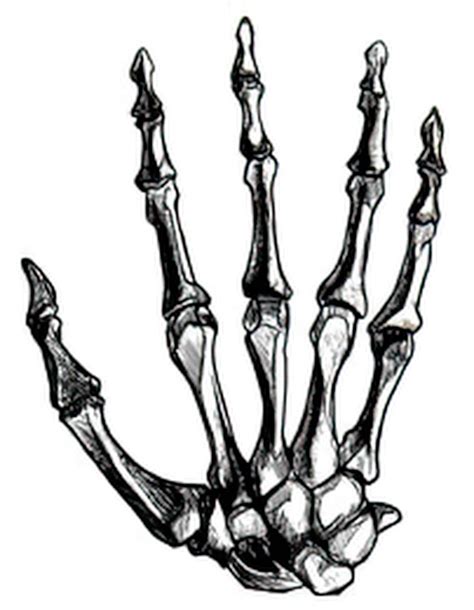 Update 82 Tattoo Of Bones On Hand Best Esthdonghoadian