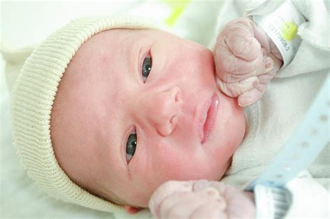 One Day Old Baby Boy Photograph By Photostock Israel Pixels