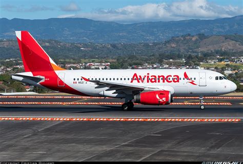 Airbus A319 132 Avianca Aviation Photo 5483375
