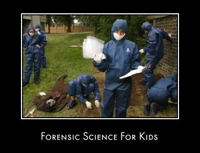 This is a series of worksheets for episodes of csi in the first & second seasons, each is linked to at least one episode specifically & there is a general format worksheet that can work for any episode. Forensic Science: Forensic Science Worksheets For Kids