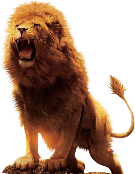 Roaring Lion Png Png Image Collection