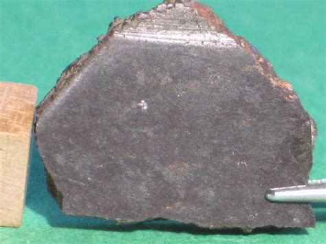 El Gouanem Ureilite Meteorites For Sale