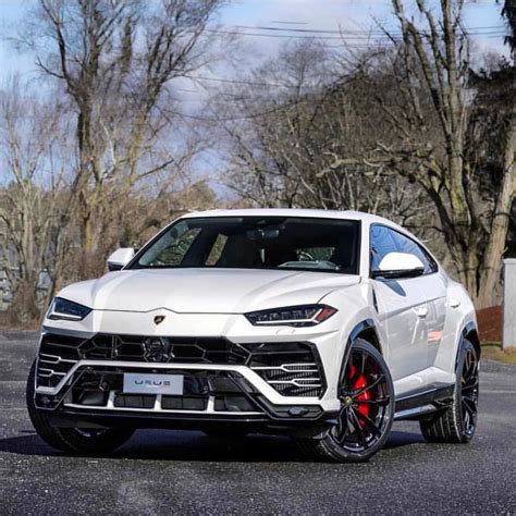 Lamborghini Urus In White Luxury Sports Cars Exotic Sports Cars Best