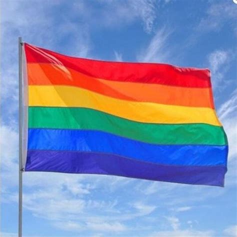 Regenboogvlag Lgbt Gay Pride Regenboog Vlag Grote Homo Lgbtq