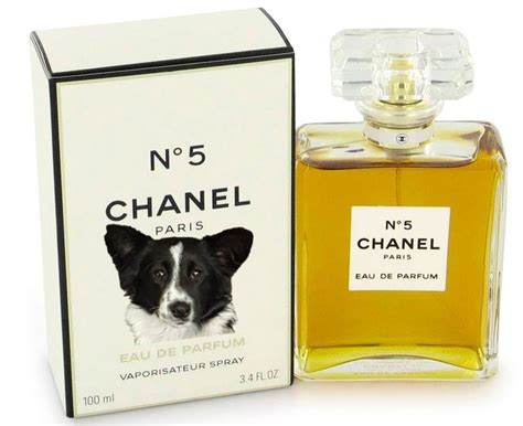 Pubblichiamo tutti i trucchi e le soluzioni per superare ogni traccia del cruciverba. CHANEL N 5 è un profumo della casa di moda Chanel ...
