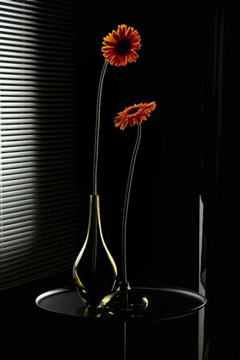 Free Images Flower Glass Vase Decoration Color Natural Lamp