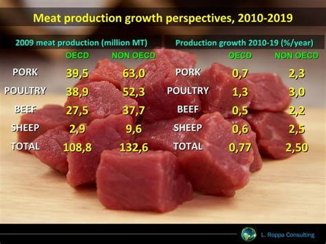Global Meat Production To 2019 Meat Challenges Trends Main Meat