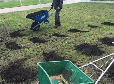The process for reseeding the lawn is the same as installing a new lawn. Joliet, IL Lawn Aeration | Lawn Overseeding | Fertilizer Treatments Joliet