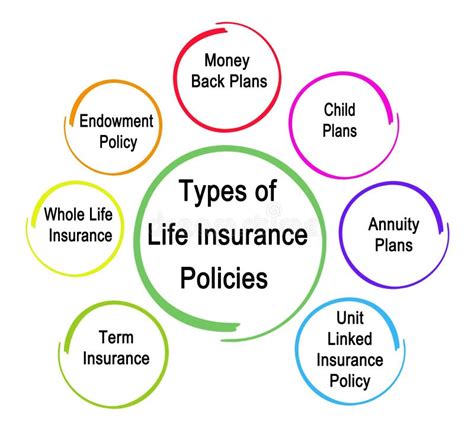 All Types Of Life Insurance Tabitomo