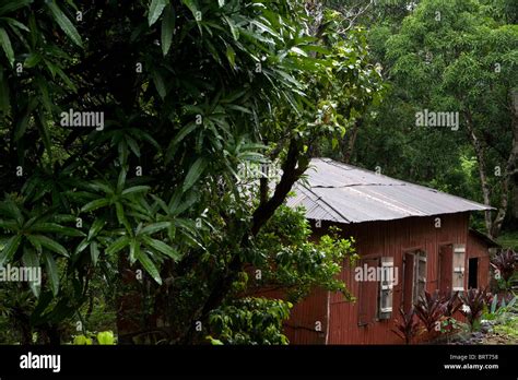 House Sierra Leone Hi Res Stock Photography And Images Alamy