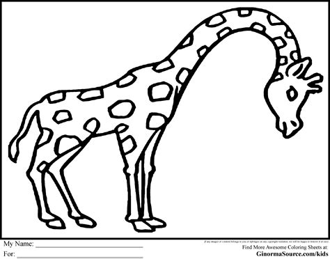 Animal Drawings Coloring Pages