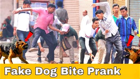 Fake Dog Bite Prank Dog Biting Prank In India Prakash Peswani Prank