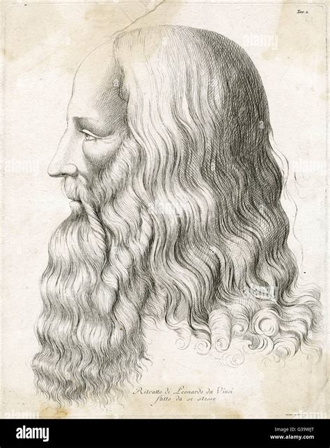 Leonardo Da Vinci Italian Artist Self Portrait In Profile Date 1452