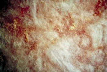 Maybe you know that one of them looks like. How to Compare Rock Wool and Fiberglass Insulation | Home ...
