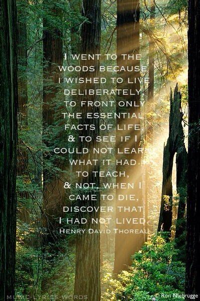 Walden Nature Quotes Thoreau Quotes Life Facts