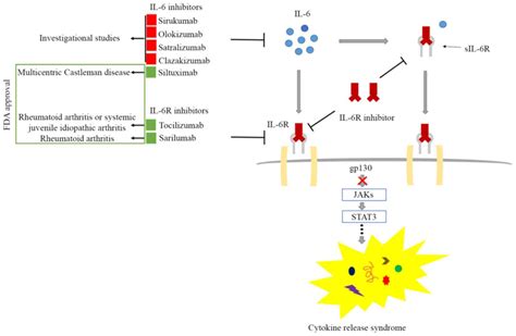 Interleukin‑6 Signaling Blockade Treatment For Cytokine Release