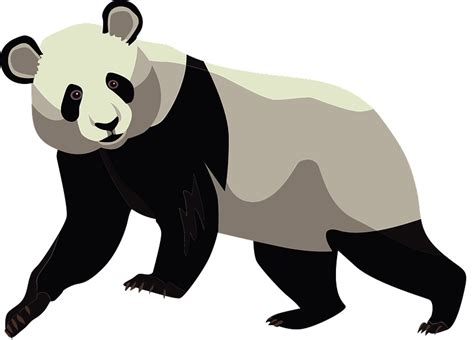 Giant Panda Cartoon Royaltyfree Clip Art Panda Png