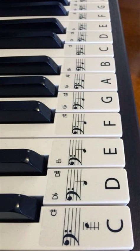 Beschrifte deine klaviatur, um leicht noten lernen zu können schritt 6 hier findest du die aufkleber bei amazon. Klavier Aufkleber, lernen, STANDARD klar Keyboard ...