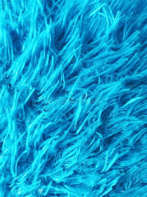 1539 Light Blue Fur Texture Stock Photos Free And Royalty Free Stock