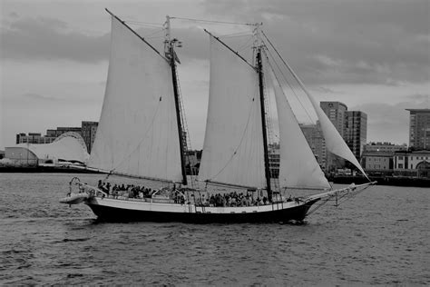 Schooner Boston Harbor Carmine Pollastretti Flickr