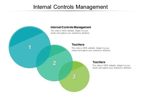 Internal Controls Management Ppt Powerpoint Presentation Summary