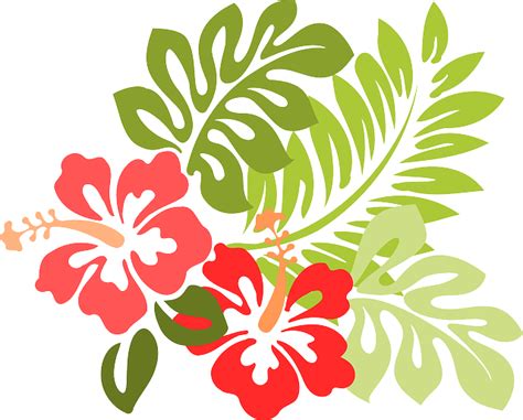Hawaii Hibisco Flora · Gráfico Vetorial Grátis No Pixabay