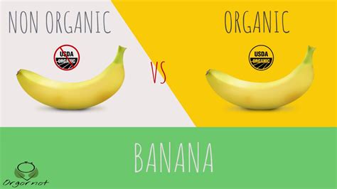 Organic Vs Non Organic Banana Timelaps Youtube