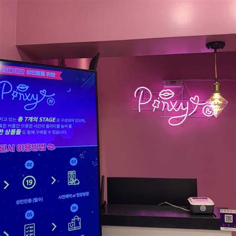 pinxy adult theme park brings vr porn to south korea