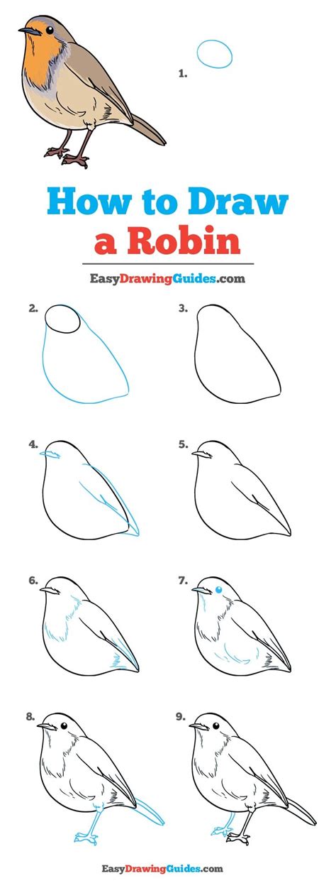 Draw repeating m curves on the neck. How to Draw a Robin - Really Easy Drawing Tutorial ...