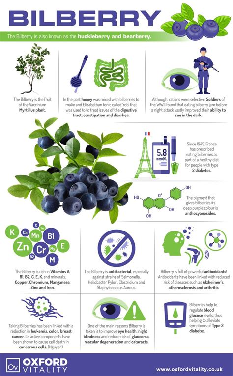 Bilberry Tablets Food Health Benefits Health And Nutrition Natural
