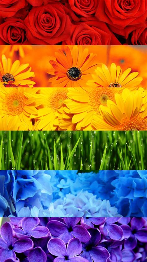 Lunarcassiopeia Free Pride Flower Wallpapers Pride